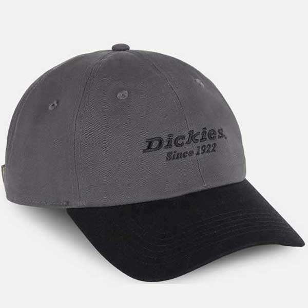 Adjustable Everyday Twill Cap with Dickies Logo