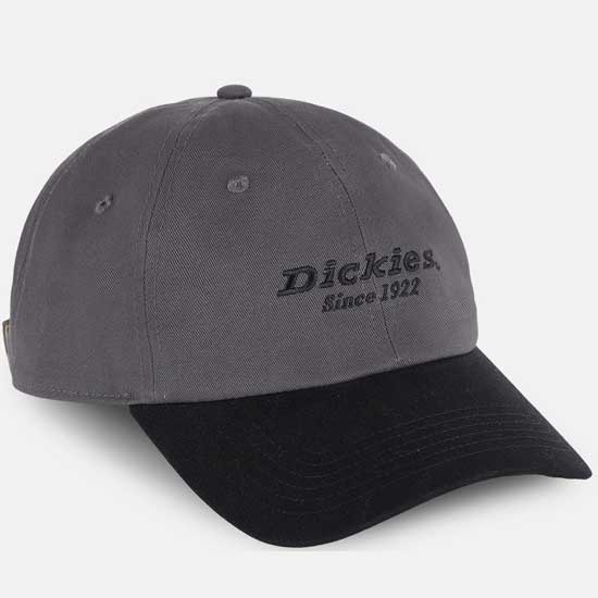 Adjustable Everyday Twill Cap with Dickies Logo