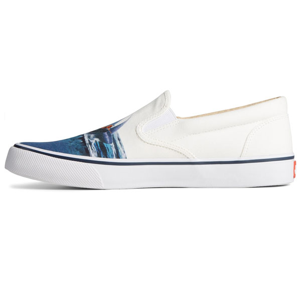 Jaws II CourtStripe Sneakers