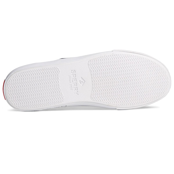 Jaws II CourtStripe Sneakers