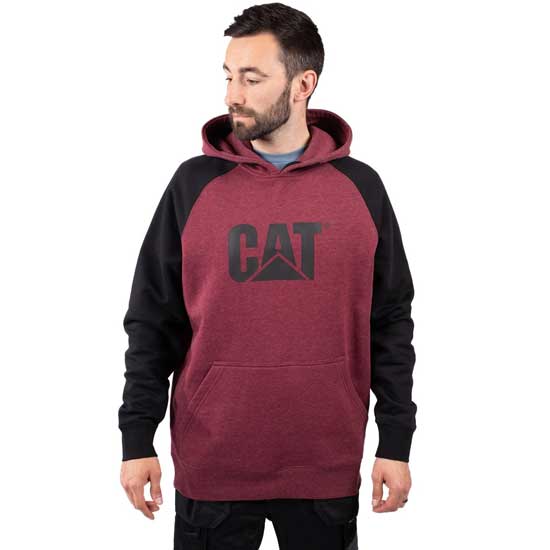 Raglan Hooded Sweatshirt With Chest Logo