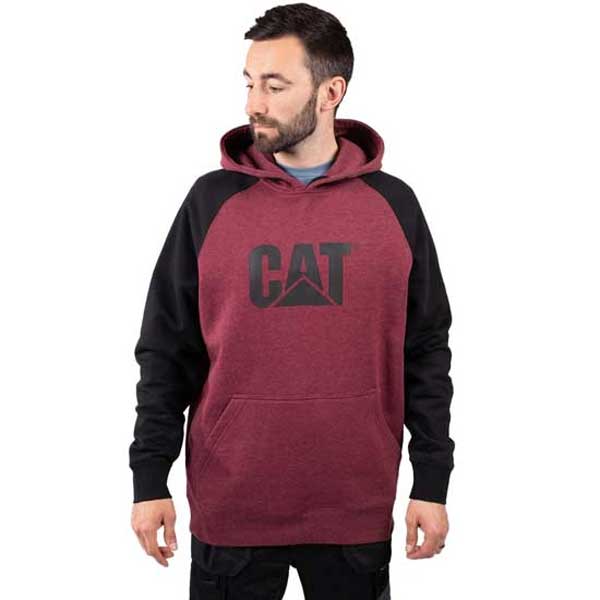 Raglan Hooded Sweatshirt With Chest Logo