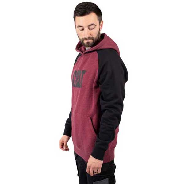 Raglan Hooded Sweatshirt With Chest Logo