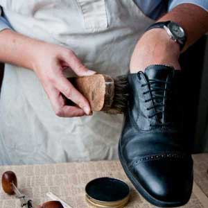shoe trees, brushes and horns 