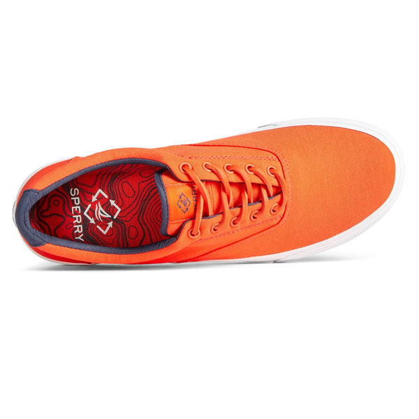 Striper II Easy CVO Sneakers