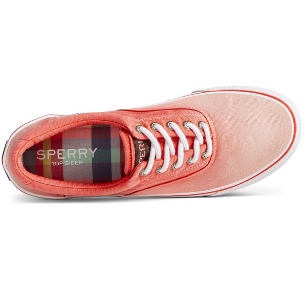 Striper II Ombre Canvas Shoe