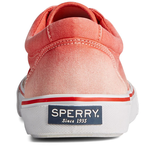 Striper II Ombre Canvas Shoe