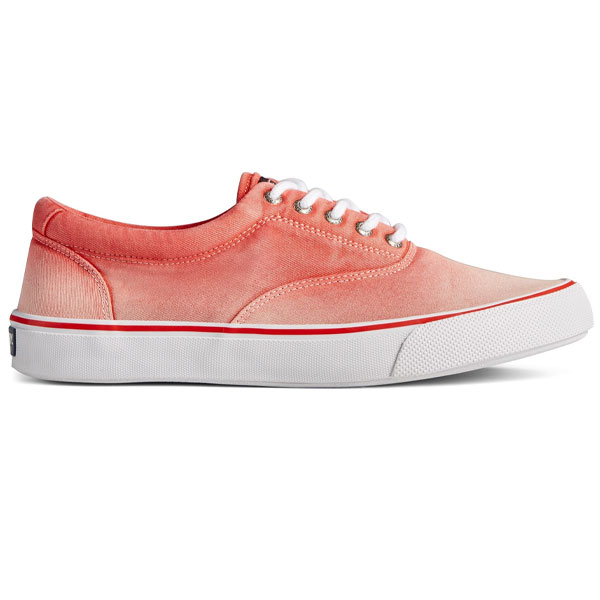 Striper II Ombre Canvas Shoe