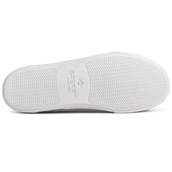 Striper II Ombre Canvas Shoe